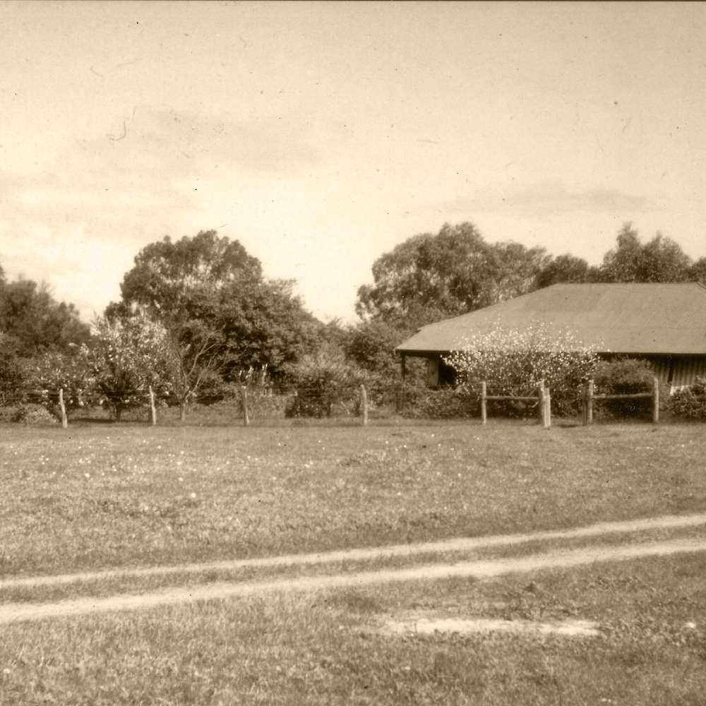 Marbling Farm at the beginning.
